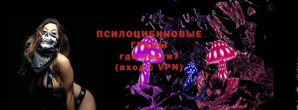 трава Арсеньев