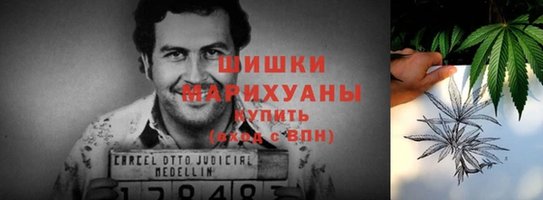 трава Арсеньев