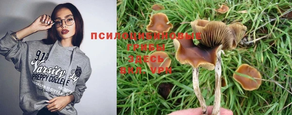 трава Арсеньев