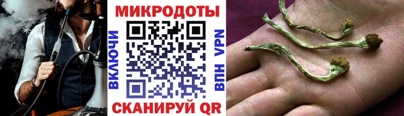 Галлюциногенные грибы MAGIC MUSHROOMS Артёмовский